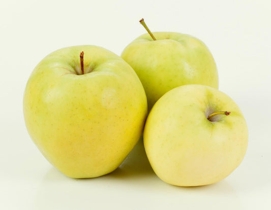 Ginger Gold Apples