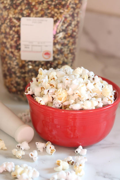 Rainbow Popcorn Kernels in Bulk
