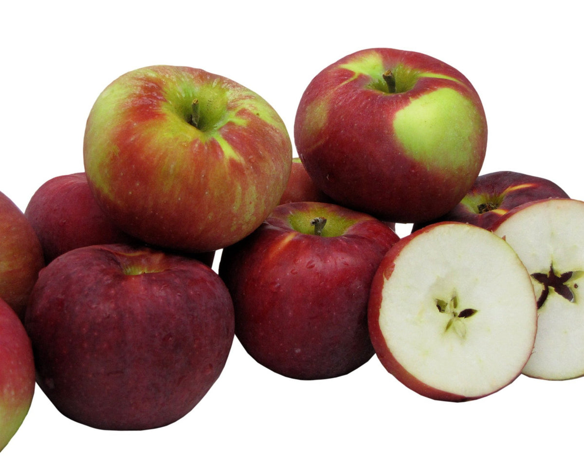 Cortland Apples