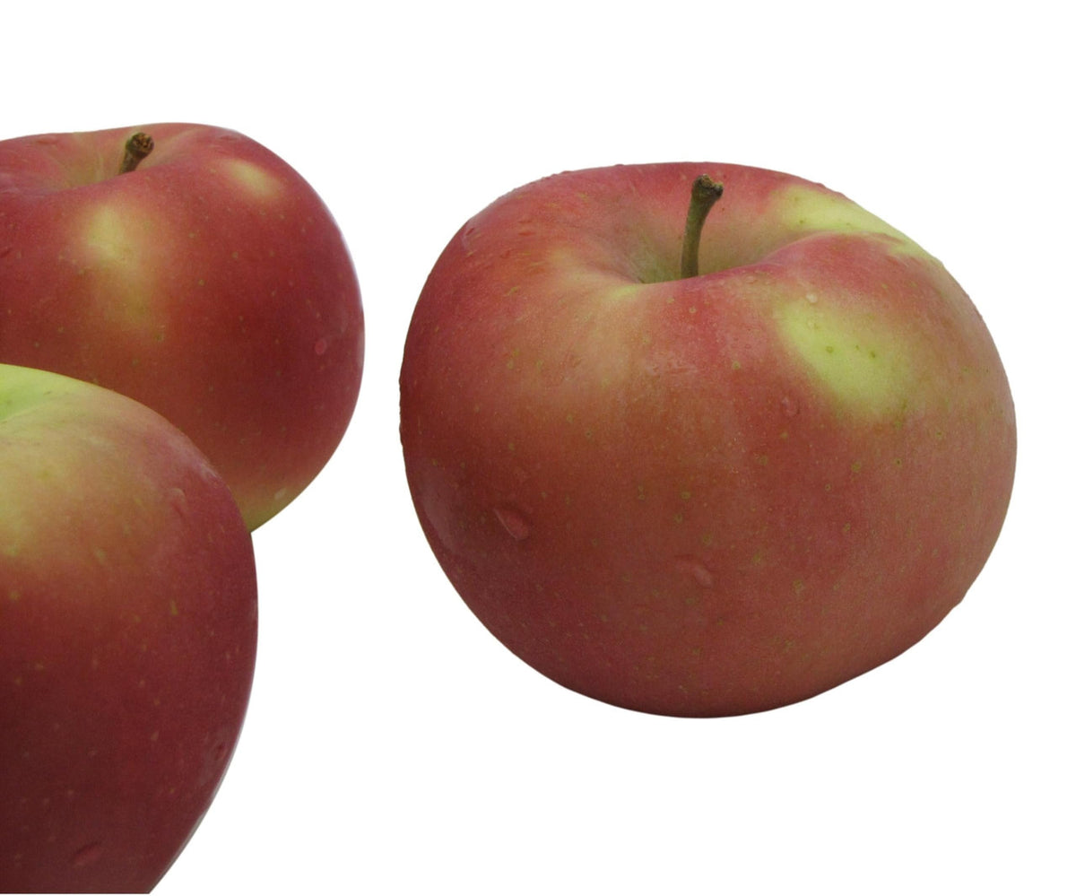 Fuji Apples