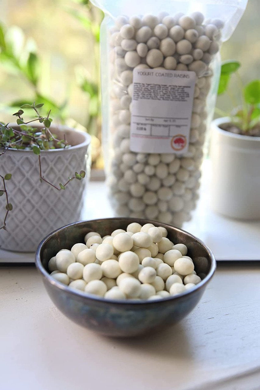 Yogurt Covered Raisins in Bulk