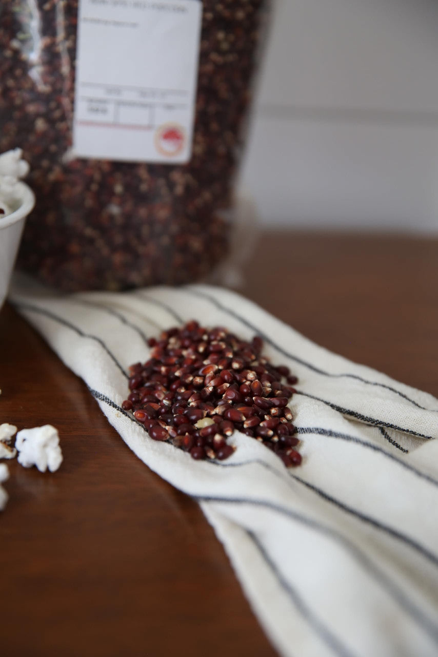 Red Popcorn Kernels in Bulk