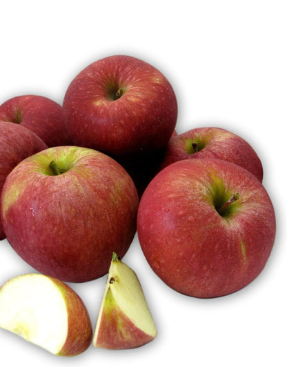 Fresh Stayman Apples, Hand-Picked in Our Lancaster County Orchard