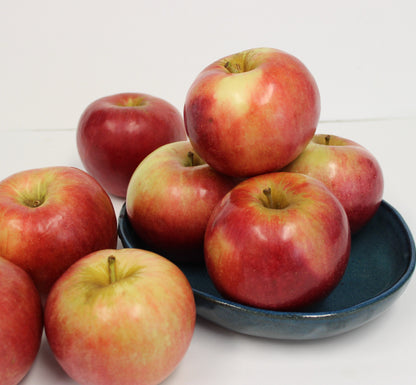 Fresh Idared Apples, Hand-Picked In Our Own Orchard