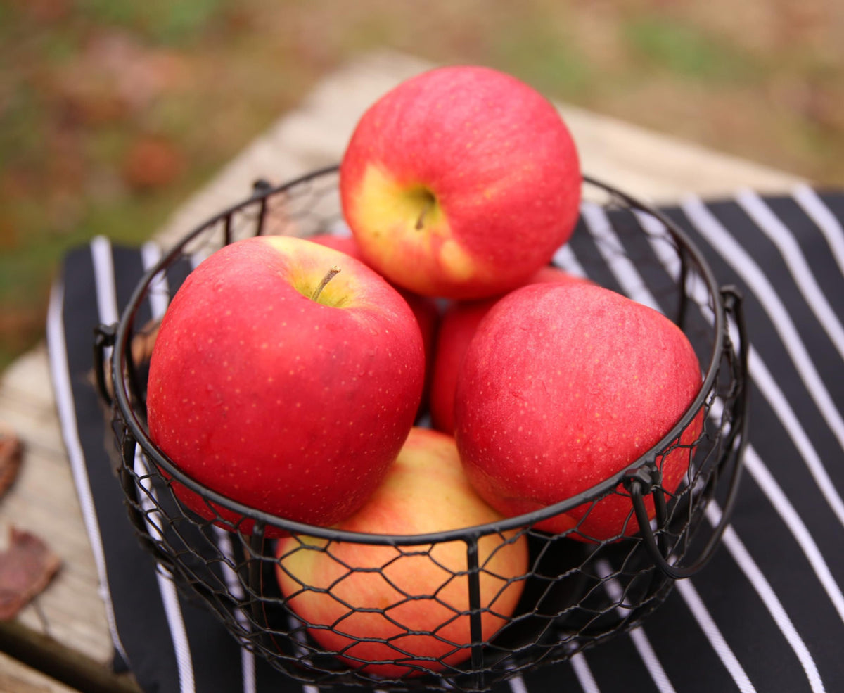 Nittany Apples
