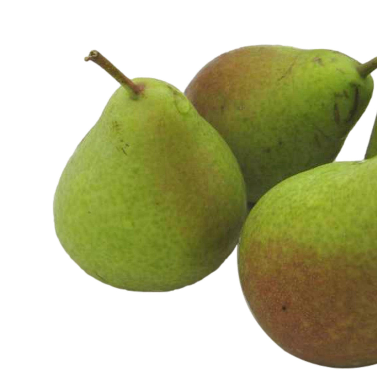 Fresh Harrow Crisp Pears, Hand-Picked In Our Orchard