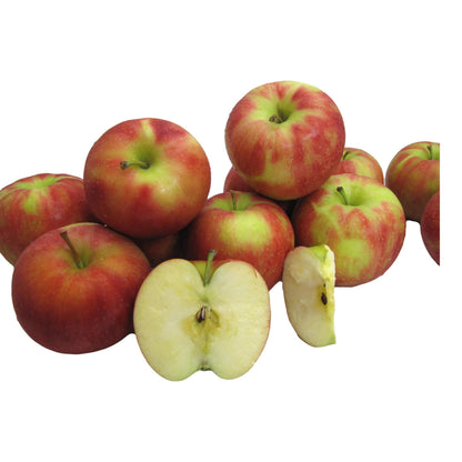 Jonagold Apples