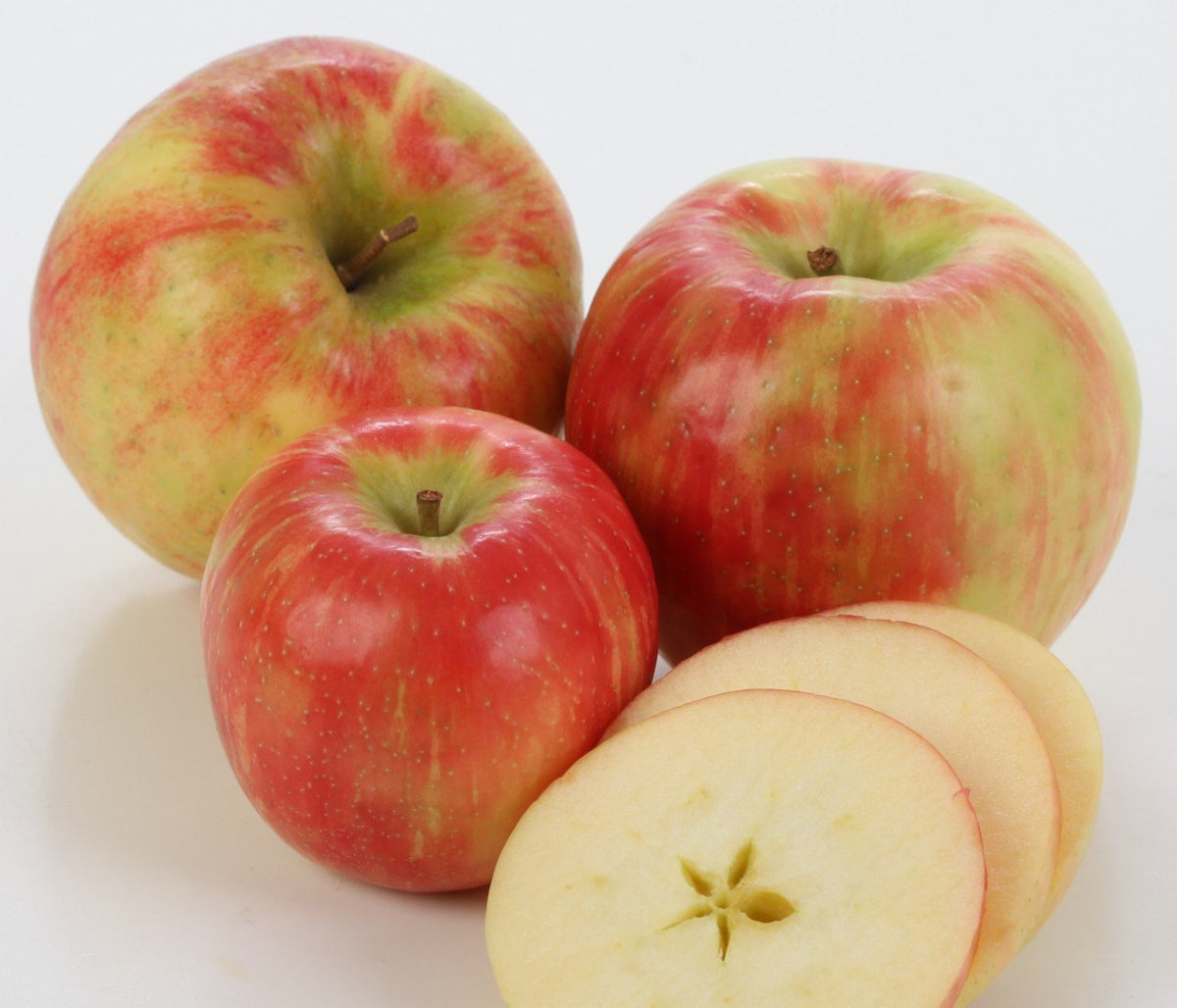 Homegrown, Fresh-Picked Honeycrisp Apples
