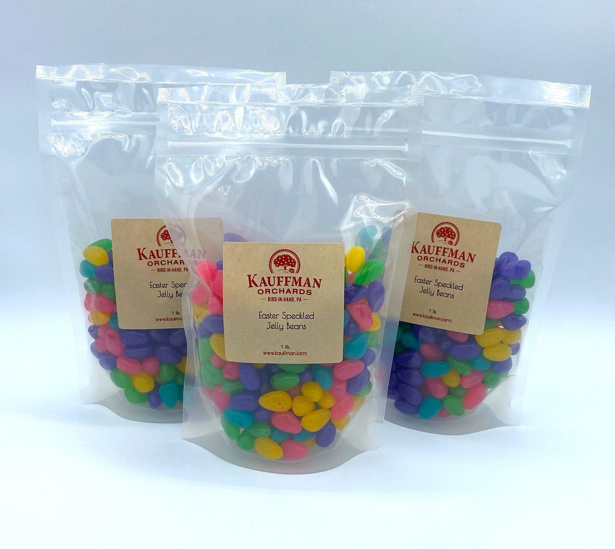 Speckled Jelly Beans, 1 Pound Bag