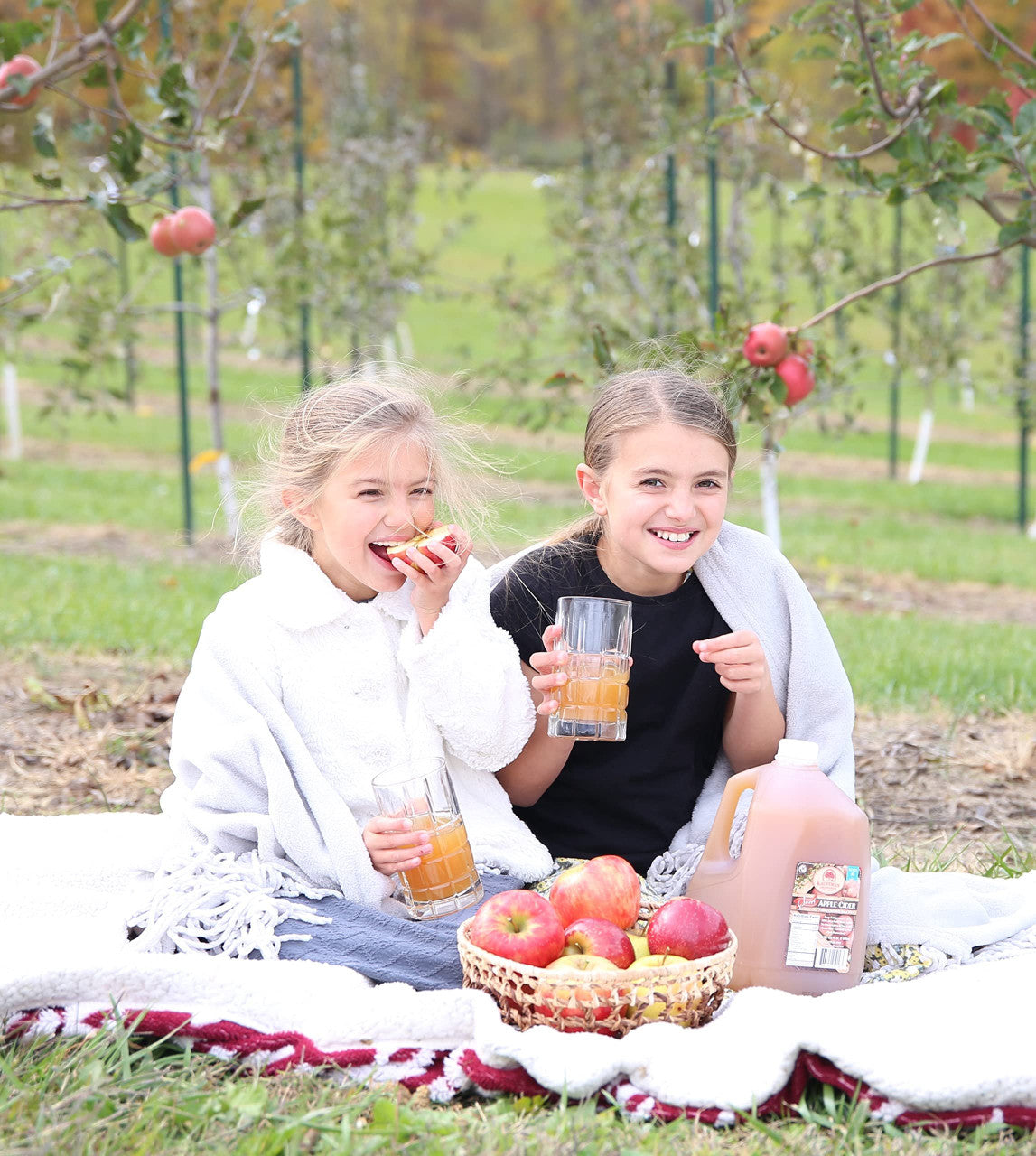Award-Winning Homemade Fresh-Pressed Apple Cider, Frozen for Shipping