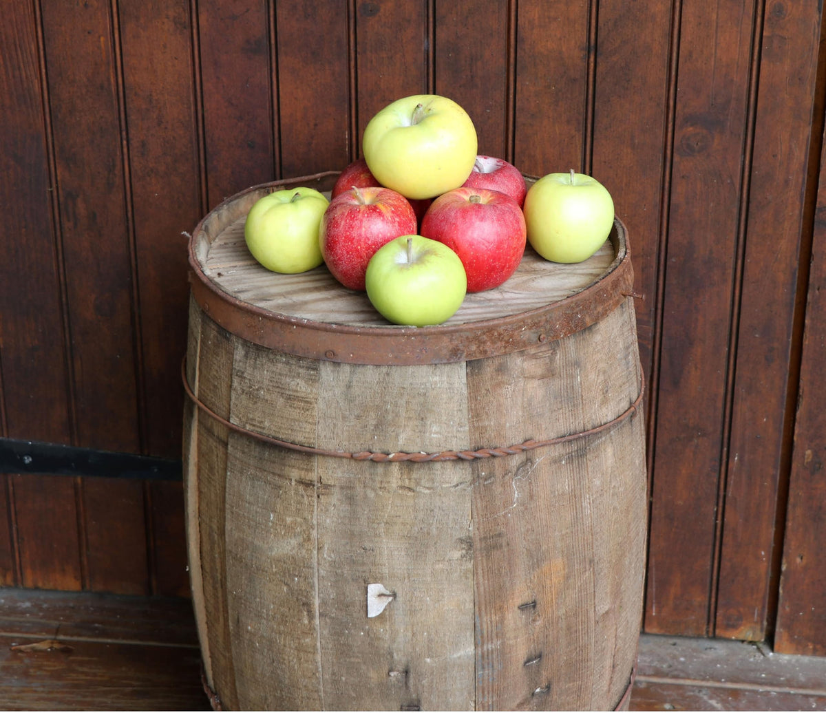 Kauffman Orchards Fresh Golden Delicious Apples, Hand-Picked in Our Lancaster County Orchard