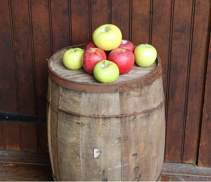 Kauffman Orchards Fresh Golden Delicious Apples, Hand-Picked in Our Lancaster County Orchard
