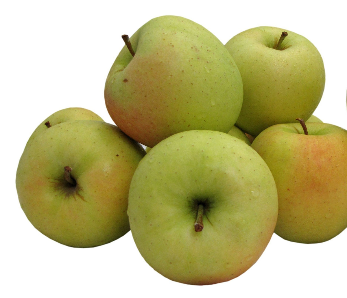 Kauffman Orchards Fresh Golden Delicious Apples, Hand-Picked in Our Lancaster County Orchard