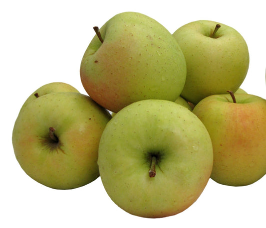 Kauffman Orchards Fresh Golden Delicious Apples, Hand-Picked in Our Lancaster County Orchard