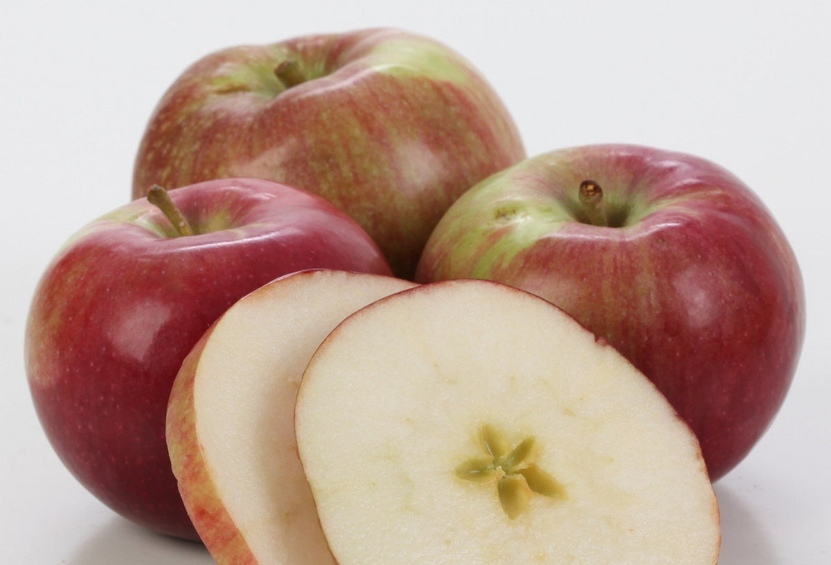 Macintosh Apples