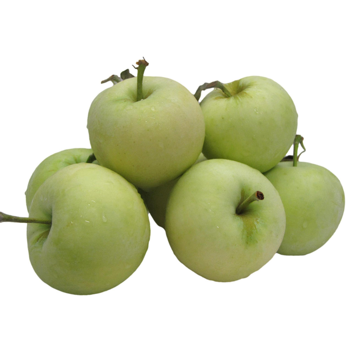 Kauffman Orchards Fresh Yellow Transparent Apples