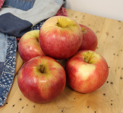 Fresh Idared Apples, Hand-Picked In Our Own Orchard