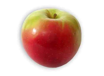 Fresh-Picked Zestar Apples, Hand-Picked in Our Own Orchard