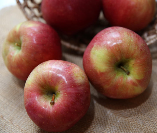 Evercrisp Apples