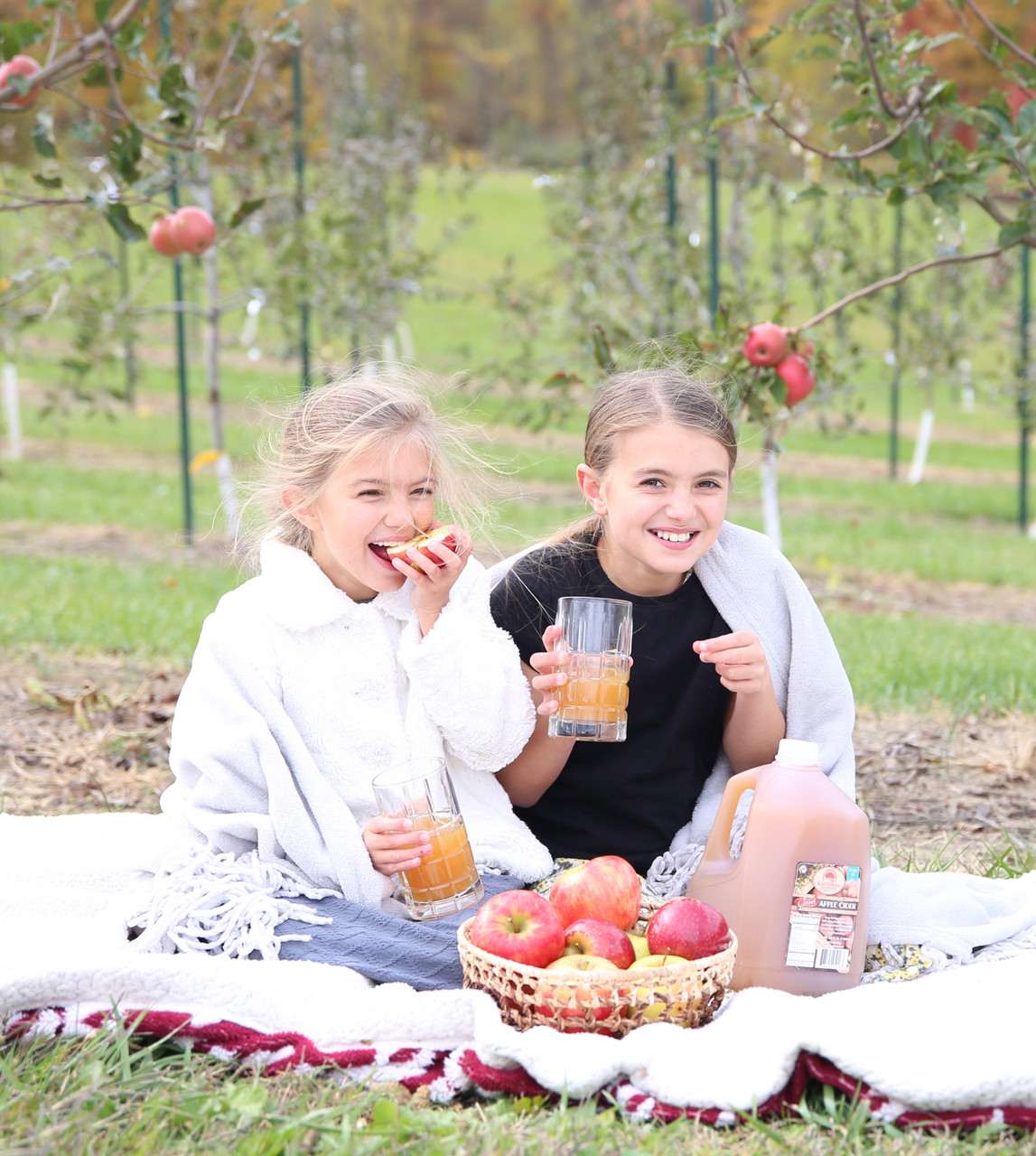 Homemade, Fresh-Pressed Apple Cider