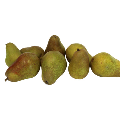 Fresh Magness Pears, Hand-Picked In Our Own Orchard