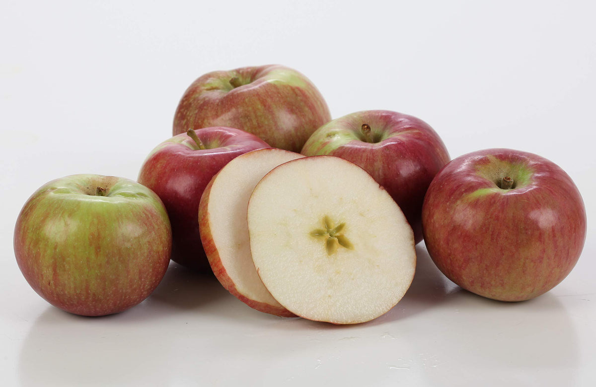 Kauffman Orchards Fresh Macintosh Apples, Hand-Picked in Our Lancaster County Orchard