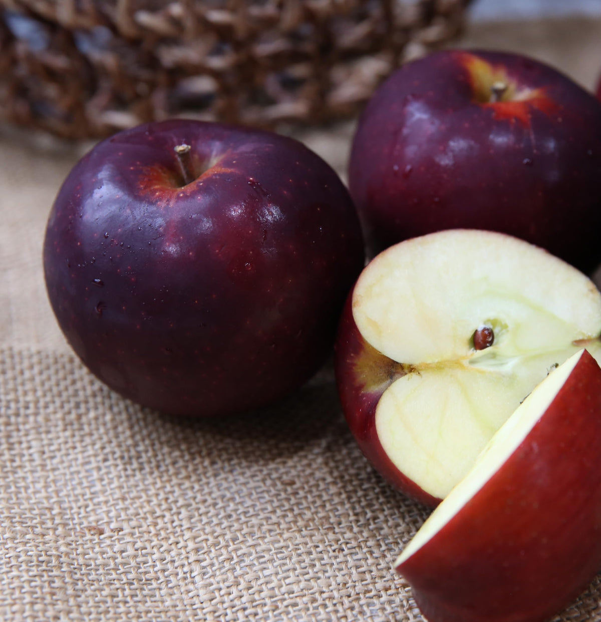 Kauffman Orchards Fresh Arkansas Black Apples, Hand-Picked in Our Lancaster County Orchard
