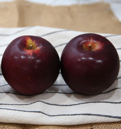 Kauffman Orchards Fresh Arkansas Black Apples, Hand-Picked in Our Lancaster County Orchard