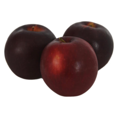 Kauffman Orchards Fresh Arkansas Black Apples, Hand-Picked in Our Lancaster County Orchard