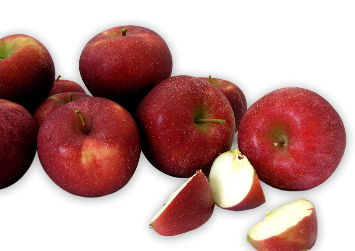 Fresh-Picked Rome Beauty Apples