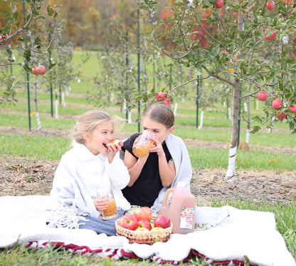 Kauffman Orchards Award-Winning Homemade Fresh-Pressed Apple Cider, Frozen for Shipping, Approximately 0.9 Gallon
