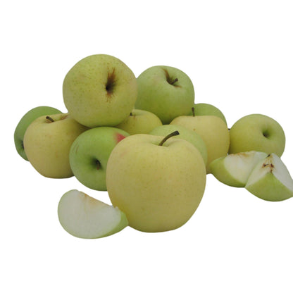 Kauffman Orchards Fresh Golden Delicious Apples, Hand-Picked in Our Lancaster County Orchard
