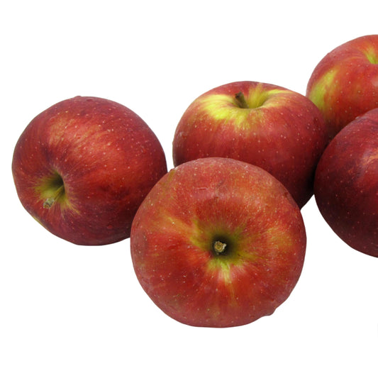 Kauffman Orchards Fresh Jonathan Apples, Hand-Picked in Our Lancaster County Orchard