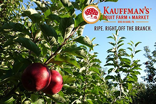 Kauffman Orchards Fresh Jonathan Apples, Hand-Picked in Our Lancaster County Orchard