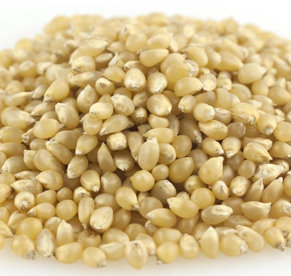 Kauffman Orchards White Popcorn Kernels in Bulk