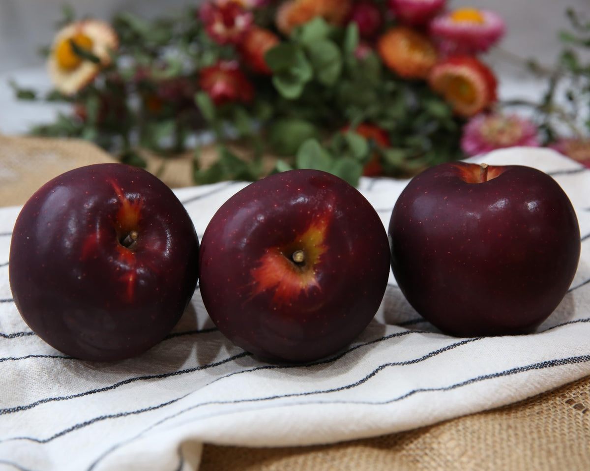 Kauffman Orchards Fresh Arkansas Black Apples, Hand-Picked in Our Lancaster County Orchard