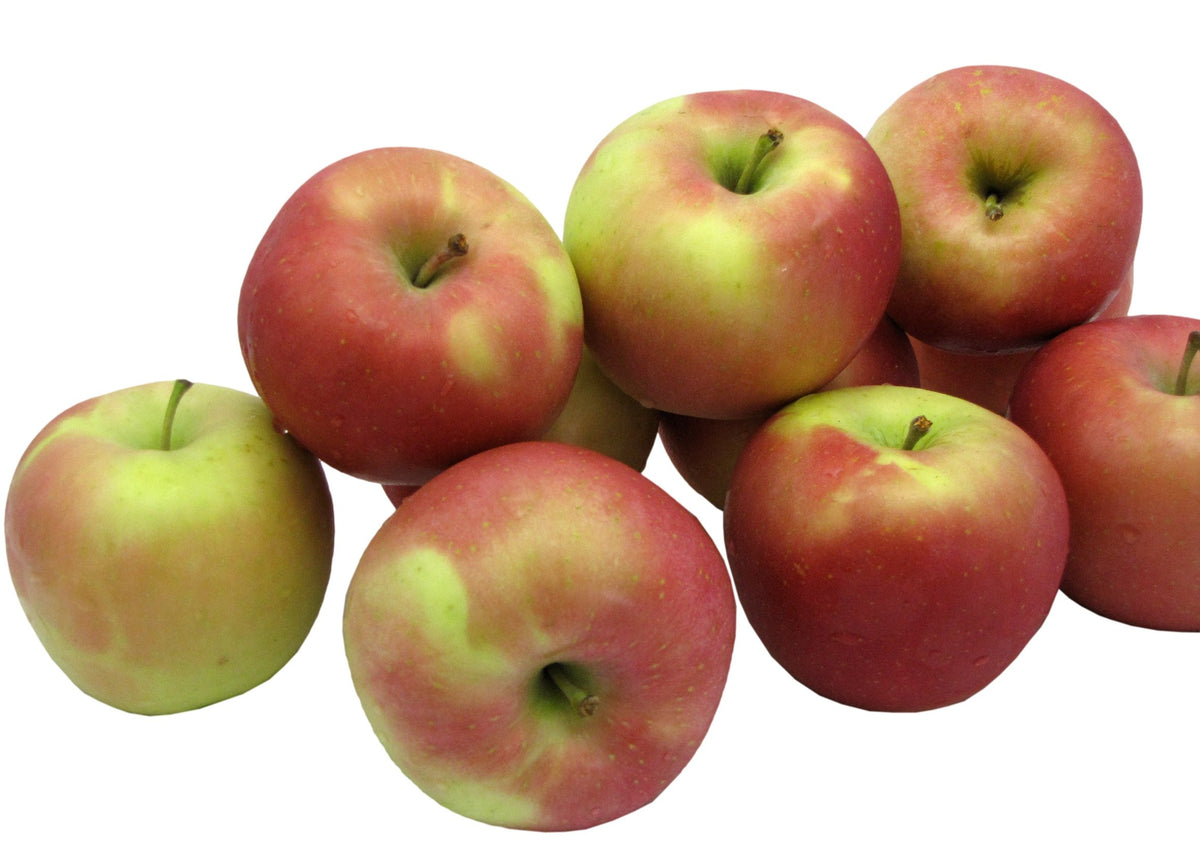 Kauffman Orchards Fresh Fuji Apples, Hand-Picked in Our Lancaster County Orchard