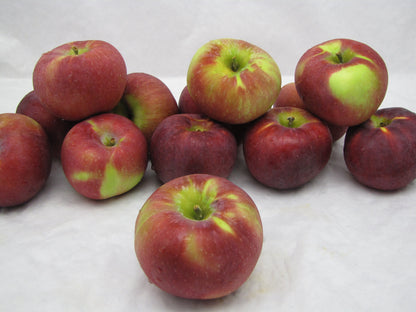 Kauffman Orchards Fresh-Picked Cortland Apples